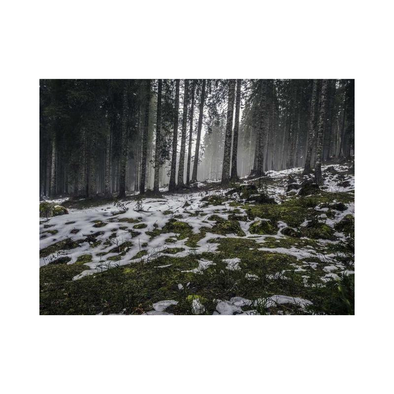 Heavy Duty Paper Shoes fr-FR